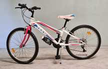 Bicicleta criança Team Xtrail roda 24"