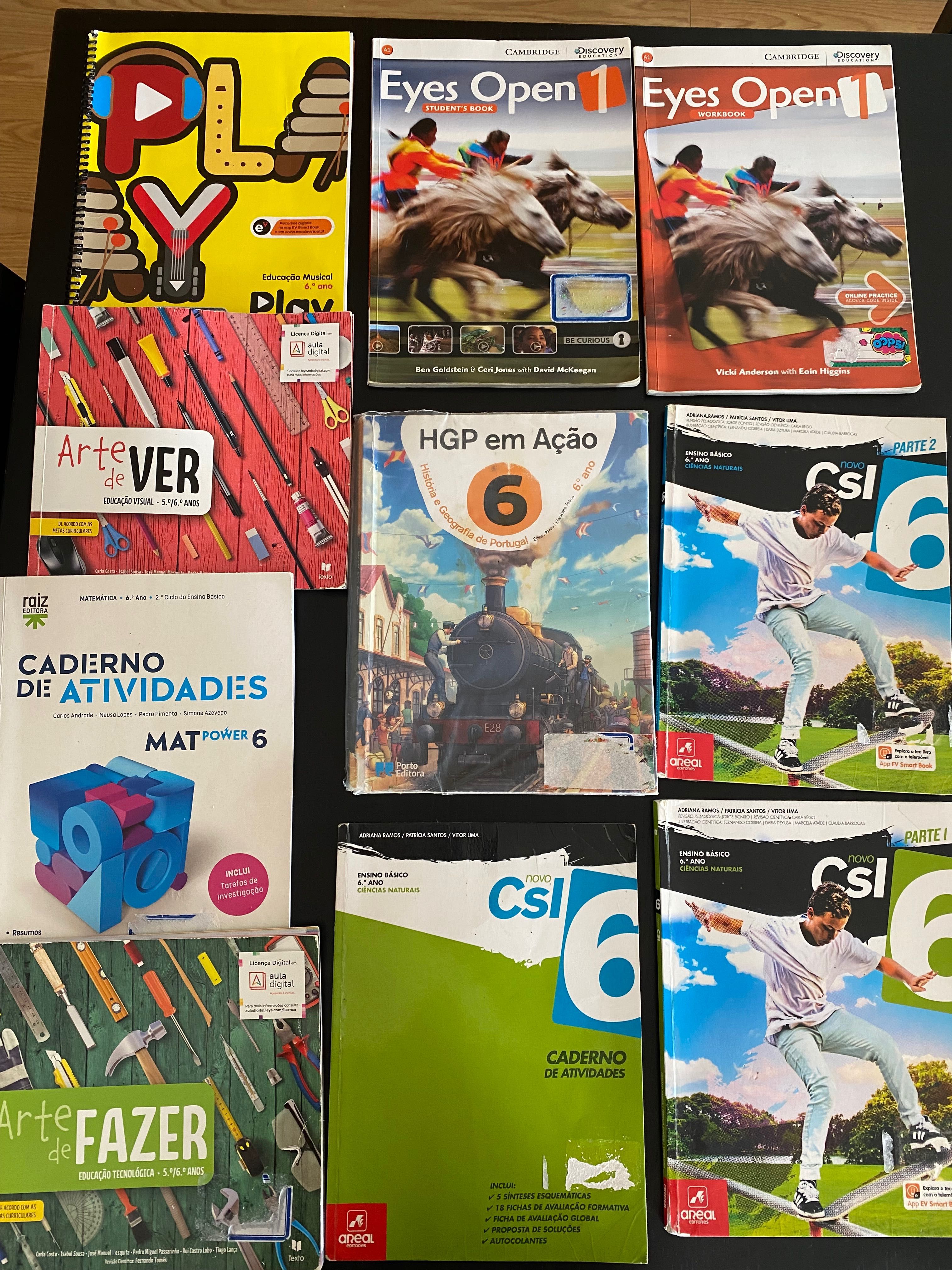 Livros Escolares 6 ano
