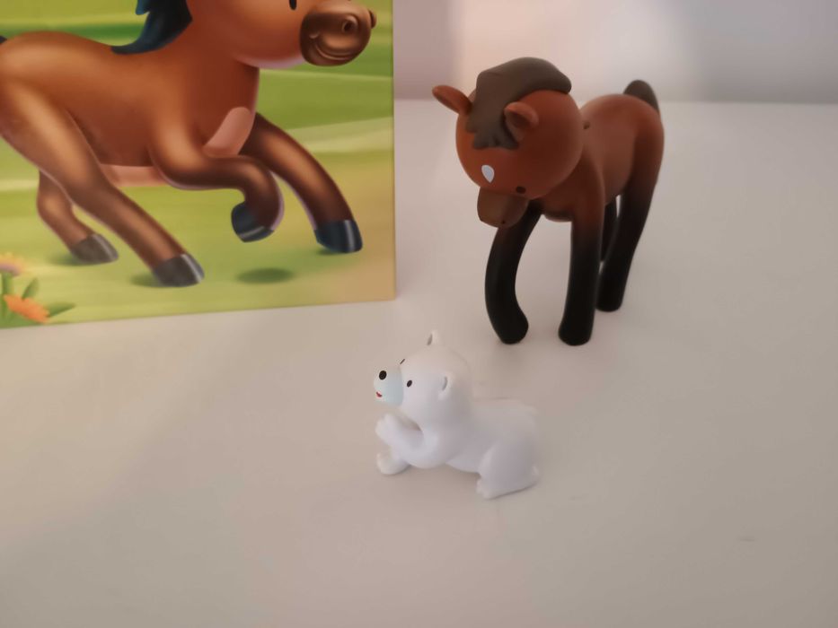 Książka Koń Ray z figurkami