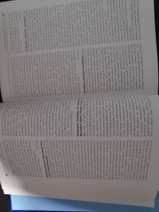 Encyklopedia Unii Europejskiej