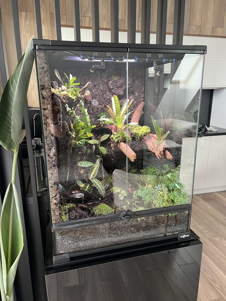 Terrarium tropikalne z wyposażeniem