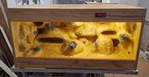 Terrarium dla gekona lamparciego 100x50x50 nowe dostępne od ręki fv