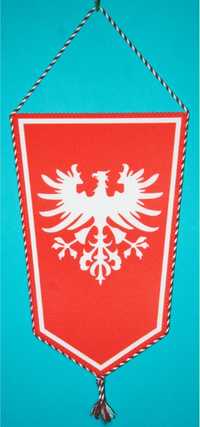 Proporczyk „Krzyż Powstańczy - Powstanie Wielkopolskie” (75)