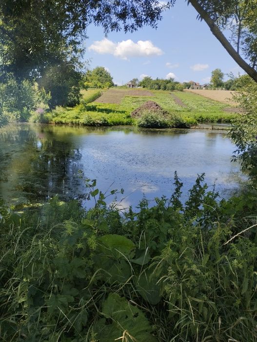 Продаж земельна ділянка, під забудову