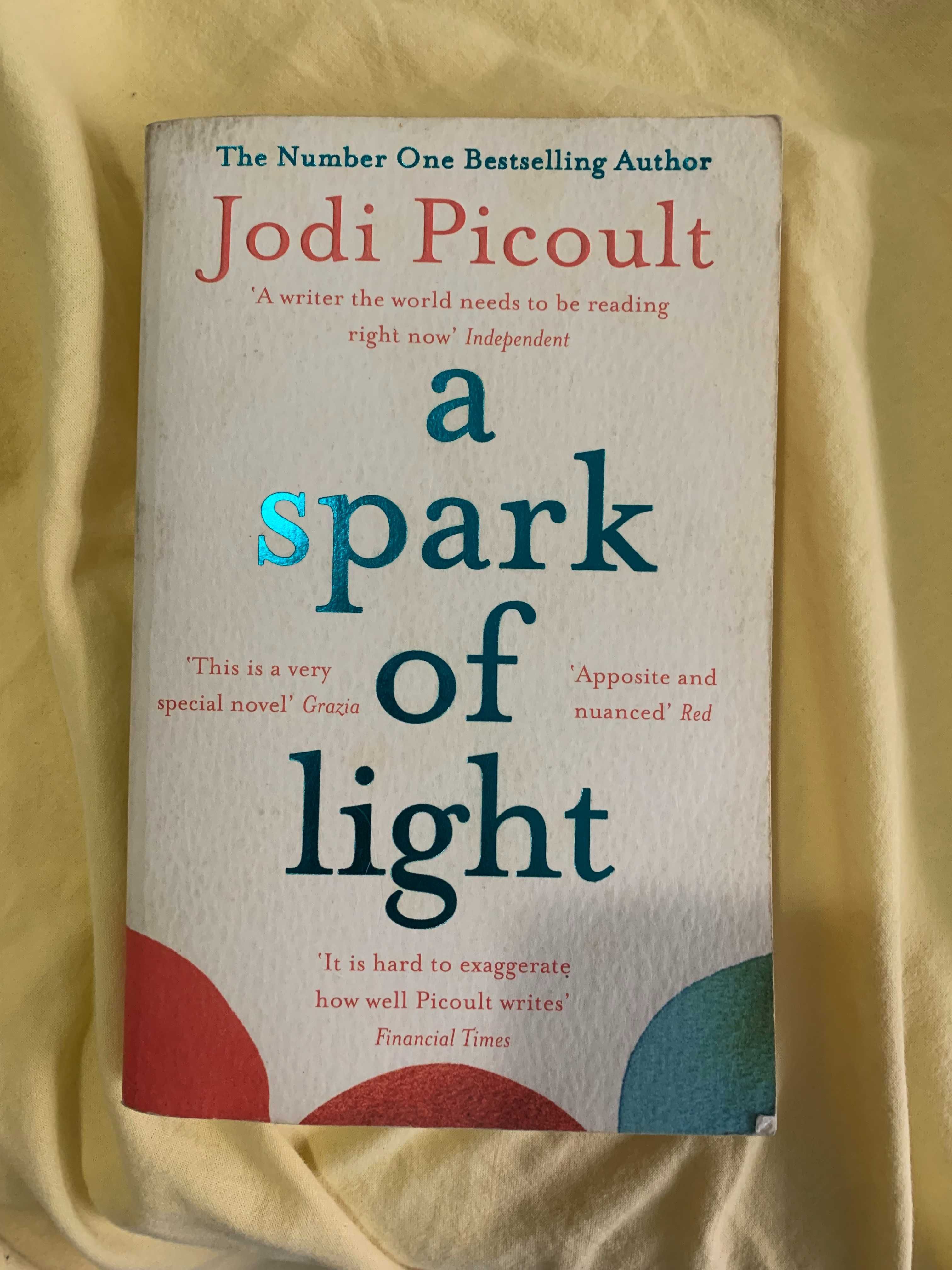 Jodi Picoult - A Spark Of Light