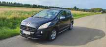Peugeot      3008