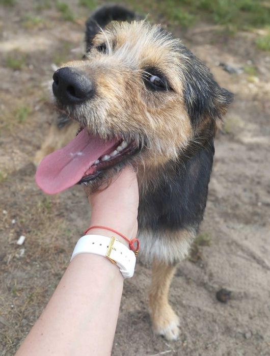 Młodziutka Mela - wulkan energii