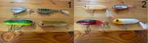 Lote de amostras - Pesca ao Achigã