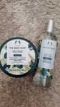The body shop moringa