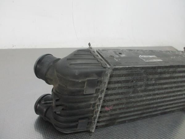 Radiador do intercooler PEUGEOT 207 (WA_, WC_)