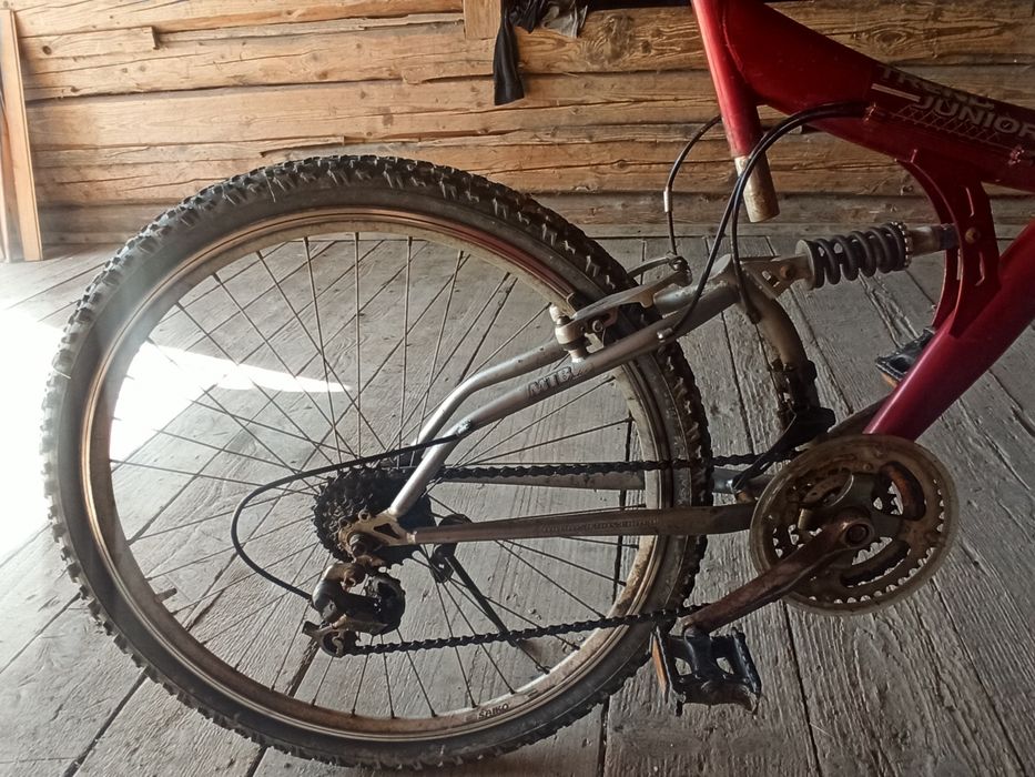 Rower Delta Trend Junior