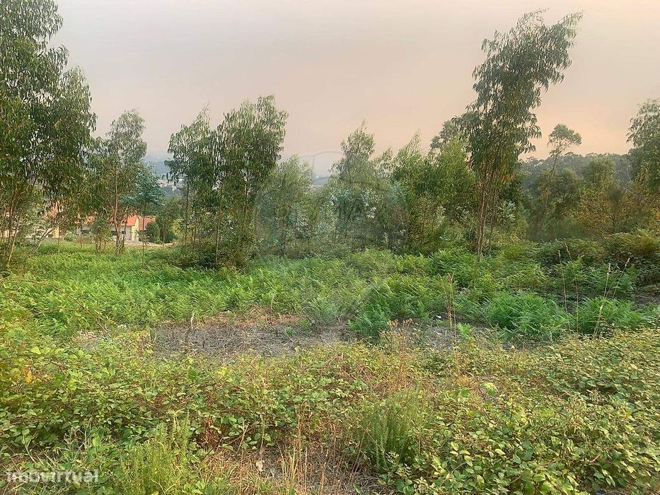 Terreno  para venda