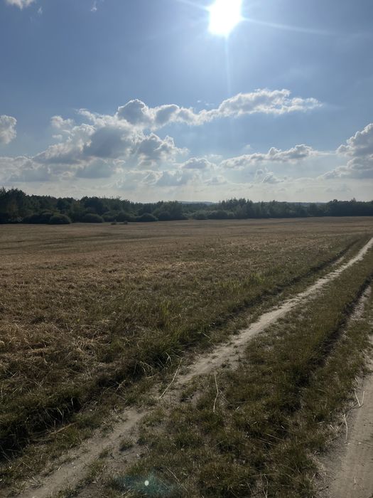 Sprzedam 11 ha grunt rolny, łąka dopłaty KRUS
