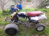 Quadro Yamaha Raptor 80cc