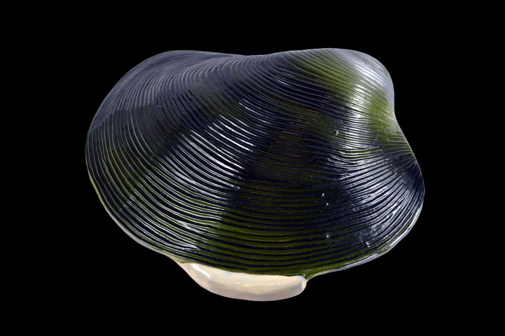 Услуги 3д печати и сканирования/3д печать/3д сканирование