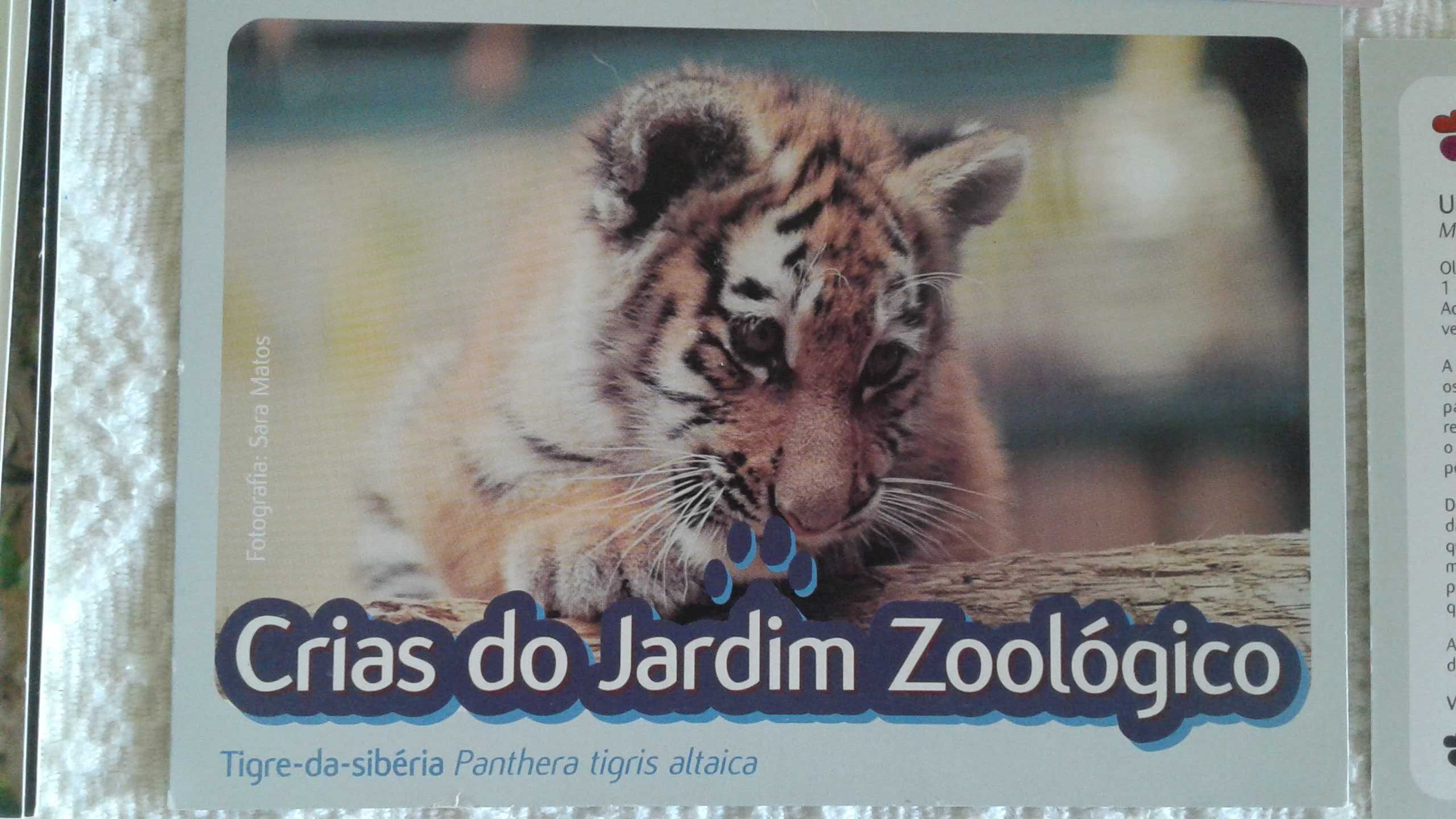 31 postais das Crias do Jardim Zoológico