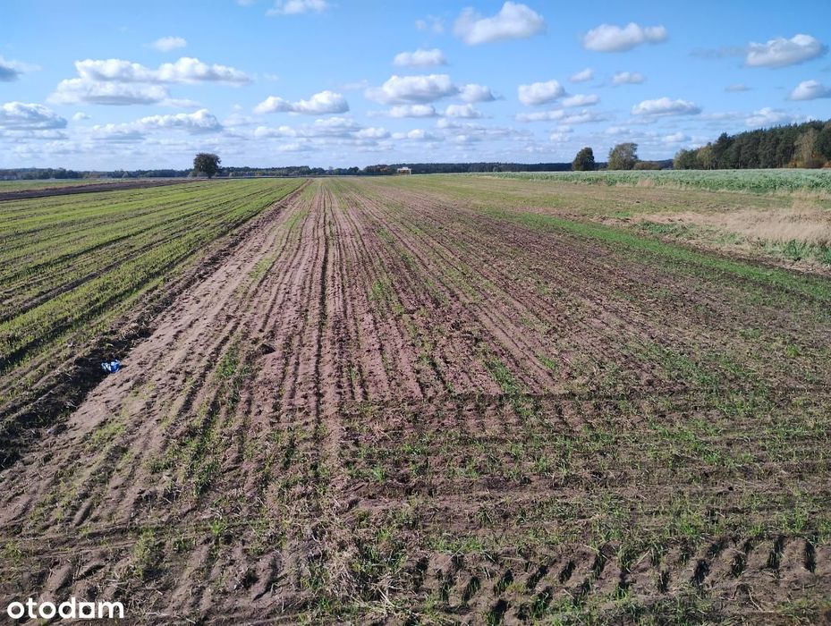 Działka rolna Stare Iganie 5406 m2