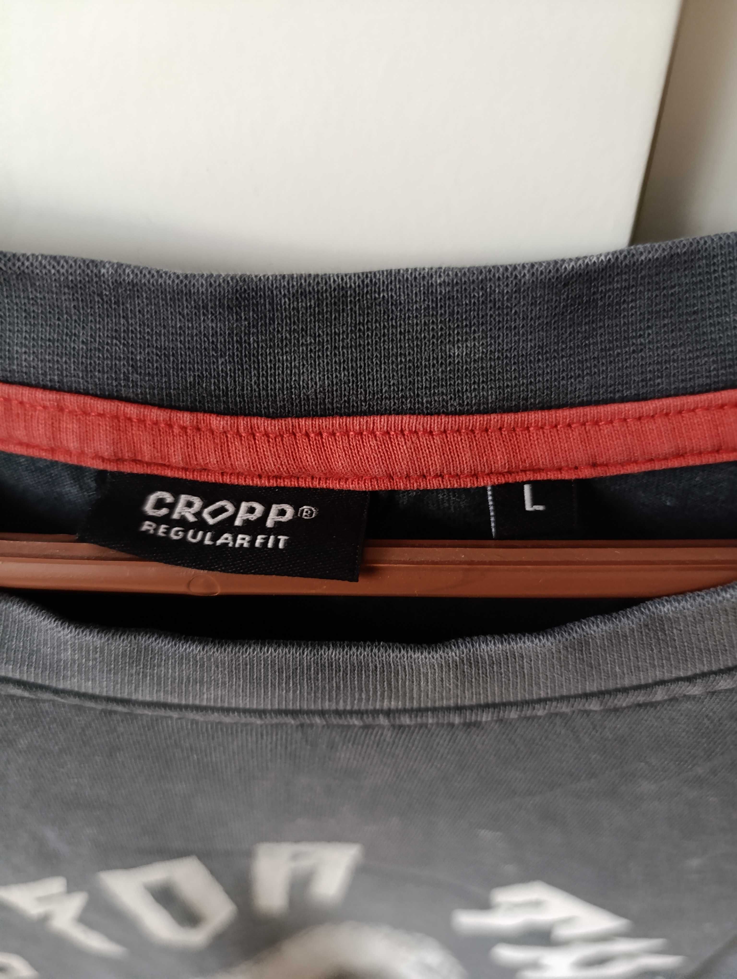 Koszulka męska cropp