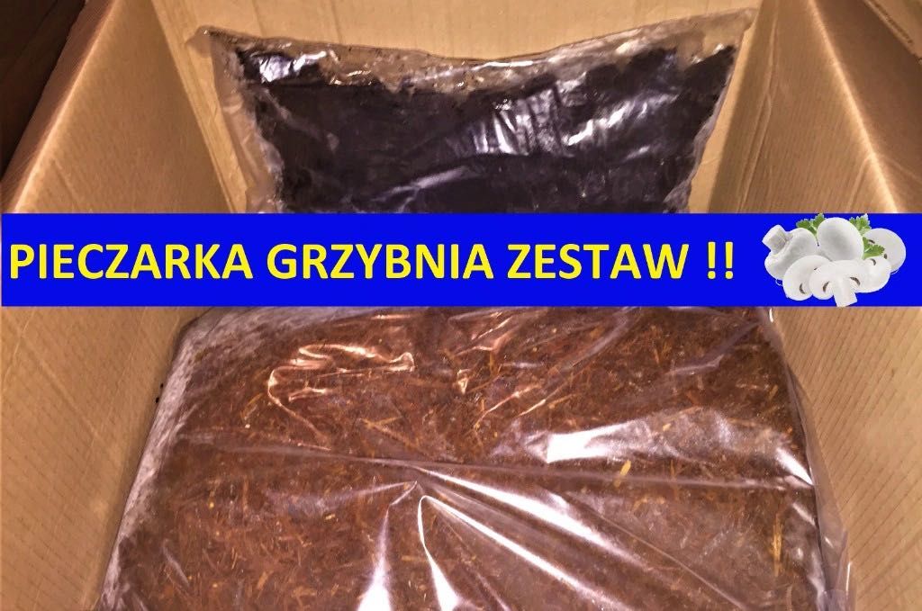 Pieczarka grzybnia DUŻY zestaw do uprawy ~10 kg