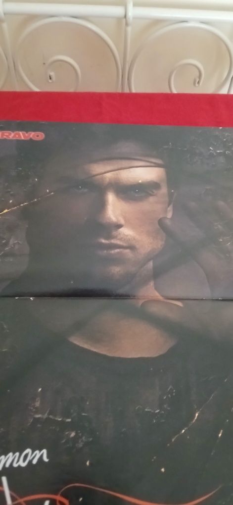 Poster Damon The Vampire