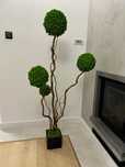 Duże wysokie drzewko Bonsai z mchu chrobotka 150cm CHROBOTEK RENIFEROW