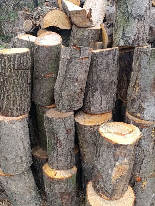 Drewno kominkowe sucha olcha opał do wędzarni