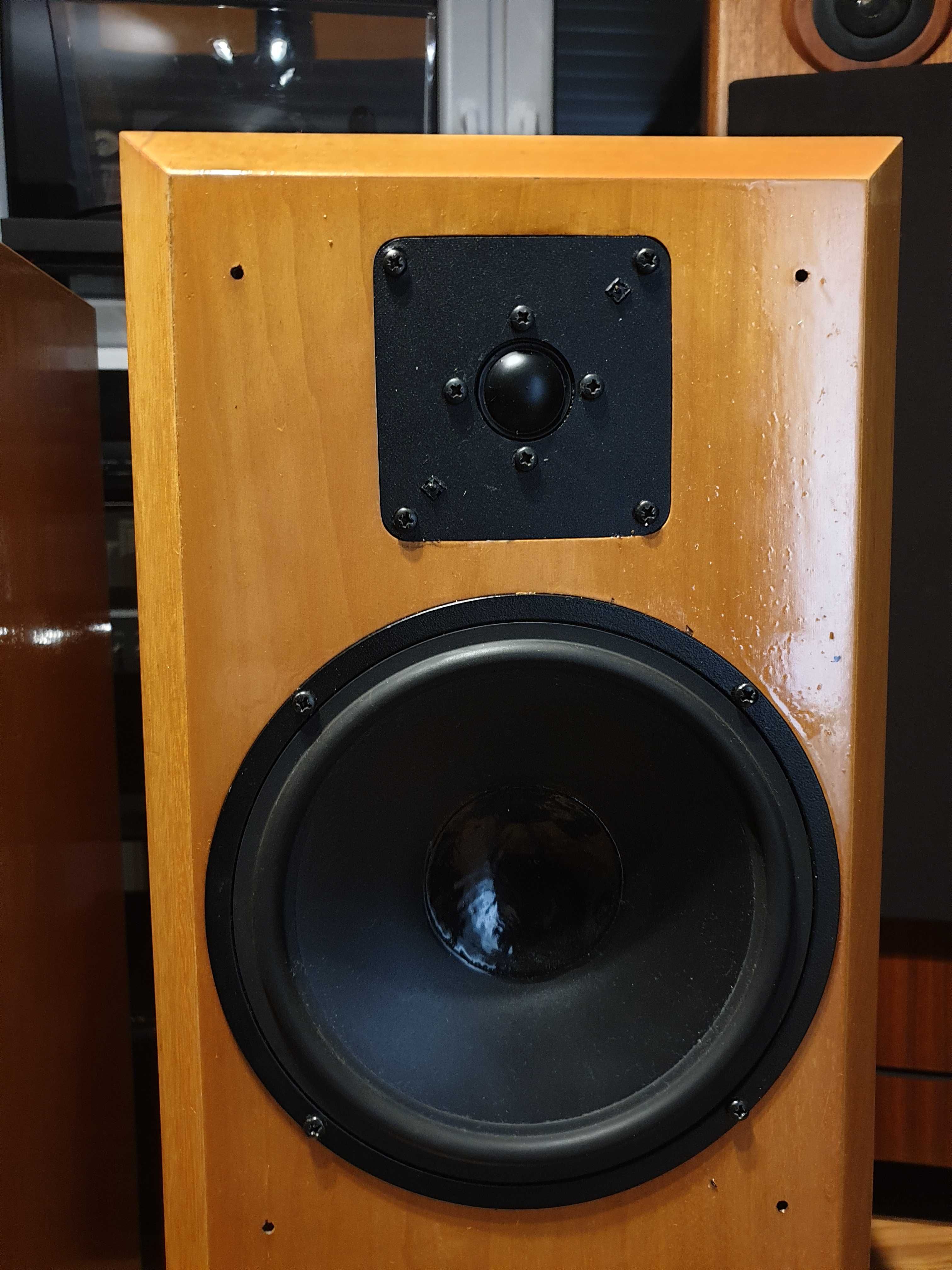 Ecouton LQL 100 dalii, dynaudio