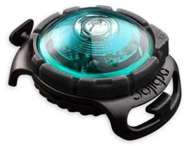 Lampka LED Orbiloc na obrożę Orbiloc turkusowy kolor*nowa*orygina