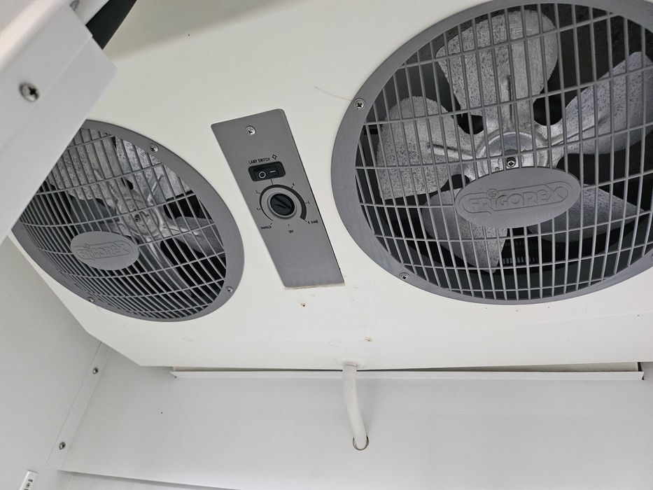 Mural refrigerado para frutas e sobremesas