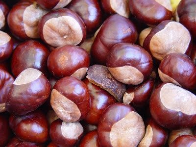 Tegoroczne Kasztany  2 kg
