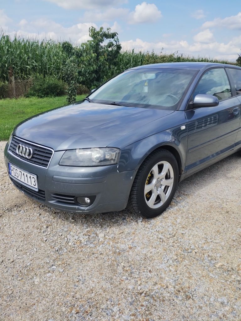 Audi a3 8P 1.9tdi
