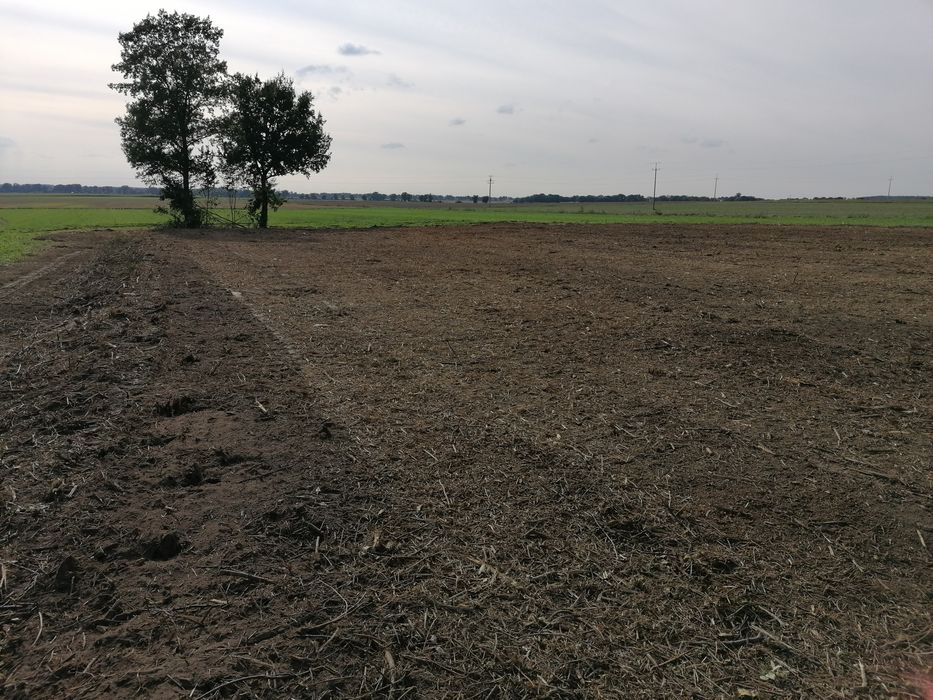 Mulczer leśny mulczowanie karczowanie czyszczenie działek rekultywacja