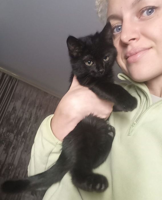 Отдам даром в добрые руки черного котенка