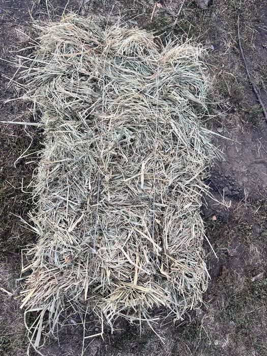 Продам сено луговое и  полевое!