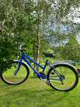 Rower damka triax
