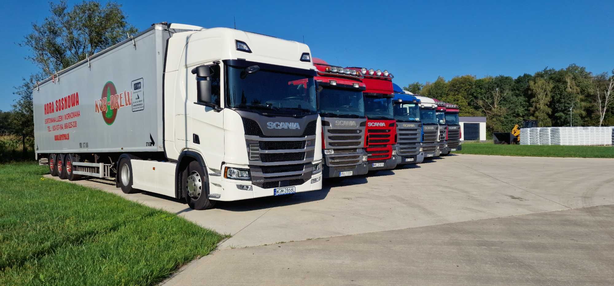 KOR-DREW Kora sosnowa sortowana Wrocław okolice transport gratis 80L