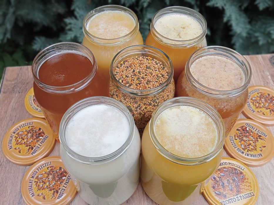 Miód pszczeli z Borów Tucholskich