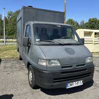 Wynajem Food Truck Citroen Jumper FT z gotowym odbiorem sanepid