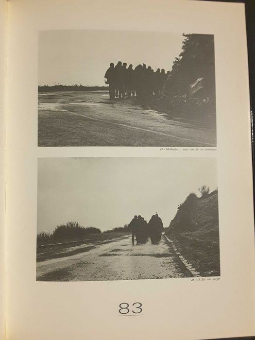 Retratos da Terceira / Romeiros Peregrinos de Hoje (S. Miguel)