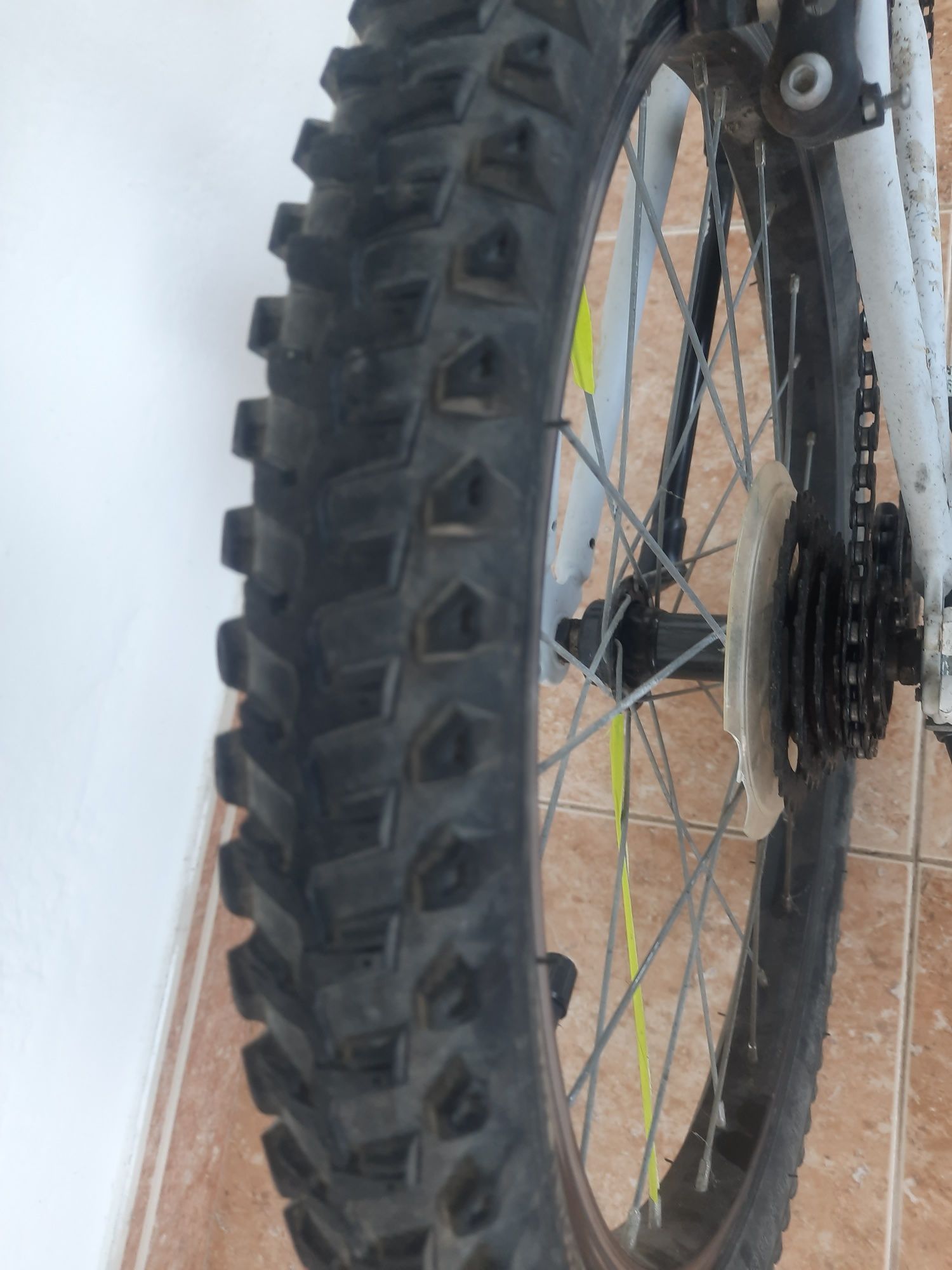 Bicicleta todo o terreno