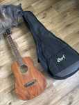 Гітара Cort Earth mini pack з чехлом