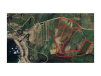 Terreno Com 12 Hectares Na Zona De Paimogo - Lourinhã