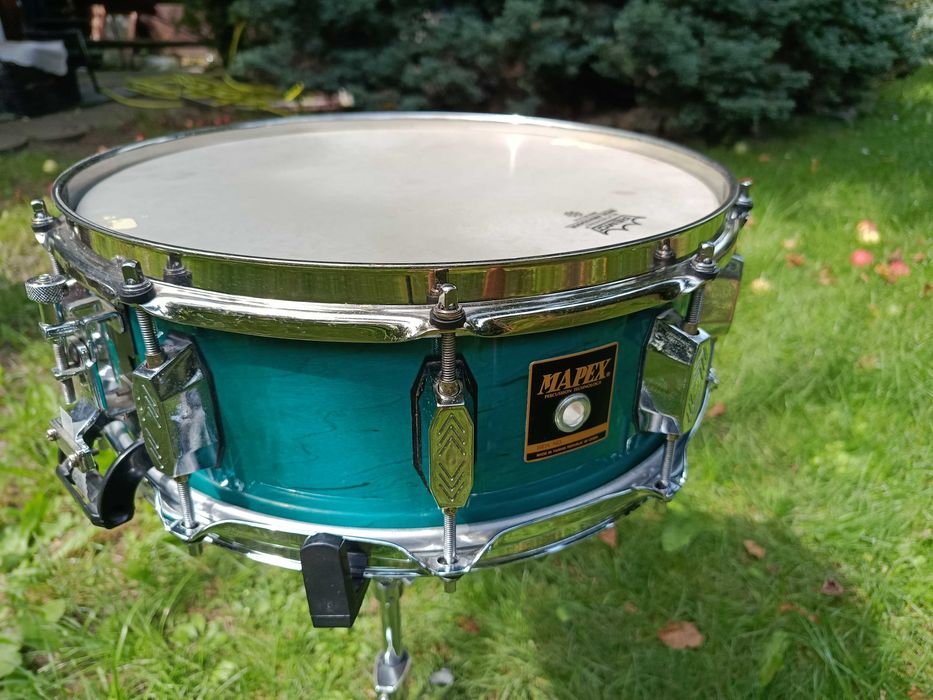 werbel mapex orion