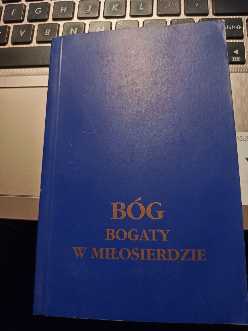Bóg Bogaty W Miłosierdzie przewodnik peregrynacyjny