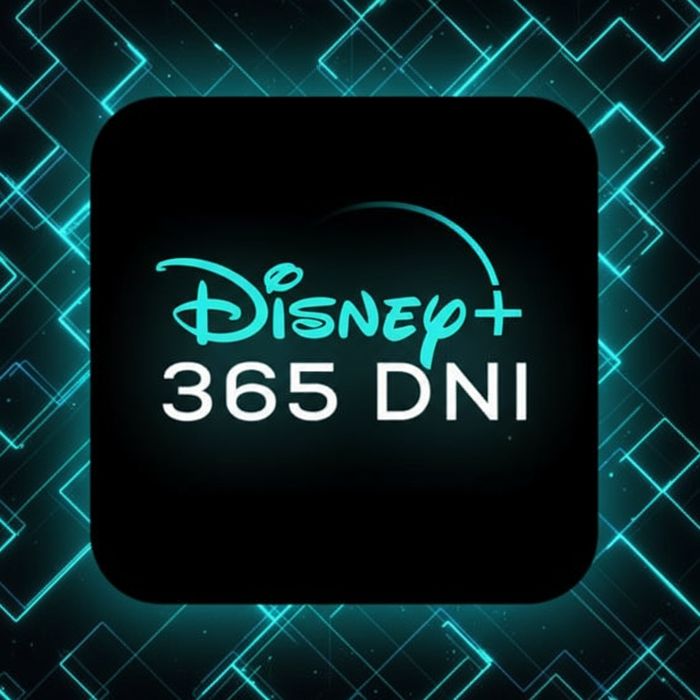 Disney+ Plus 1 rok