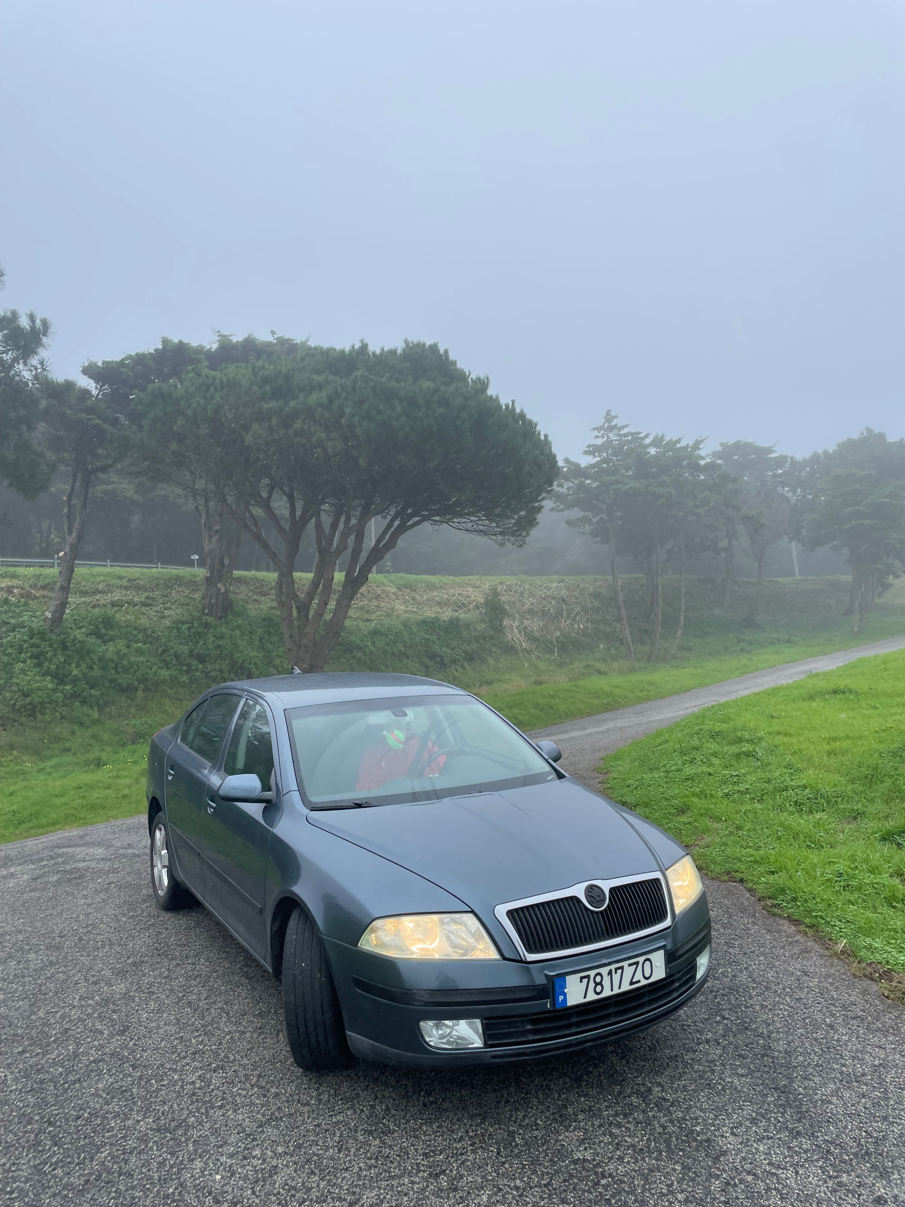 Skoda octavia a5 (depois de acidente)