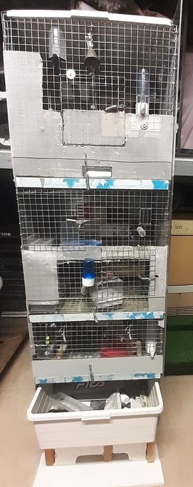 Jaula em  coluna  de apartamentos da para cinco casais