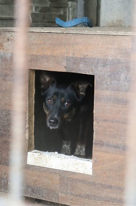 Kto pokocha Bazylka?