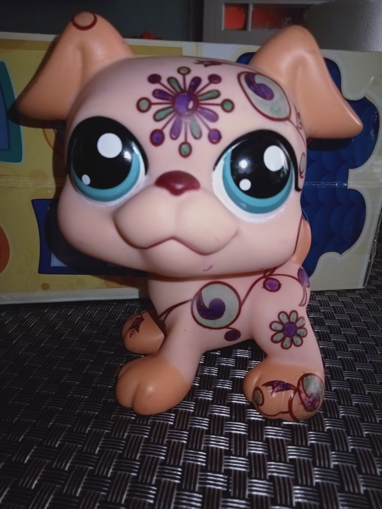 LPS duży Bokser Deco Hasbro 13cm