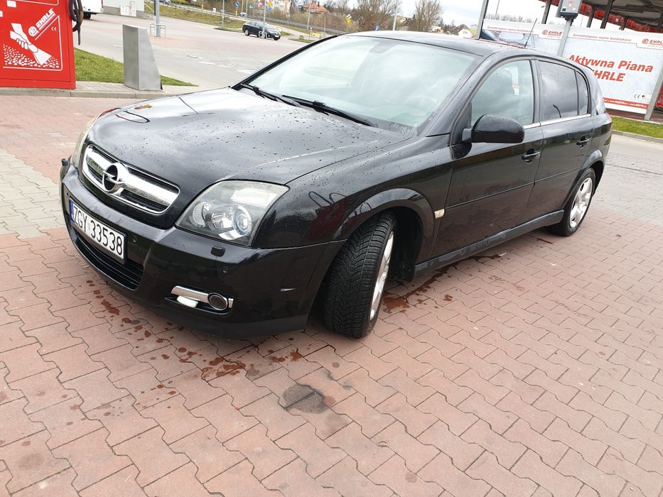 Opel Signum 1,9cdti